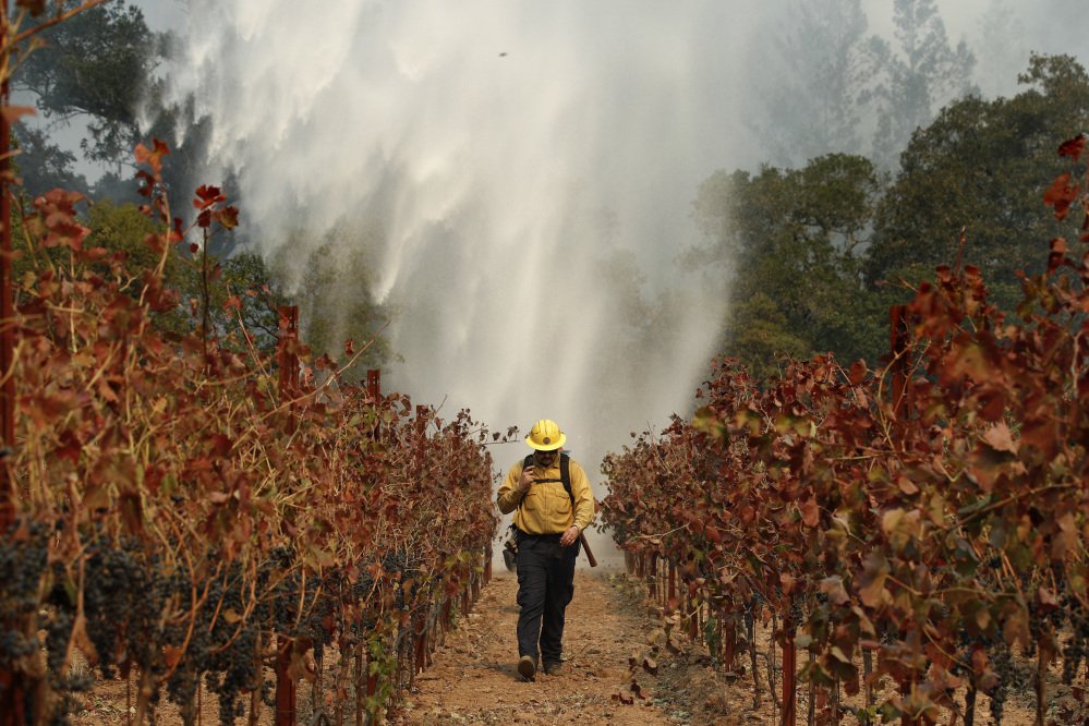 Firefighter Chris Oliver walks between grapevines as a helicopter drops water over a wildfire burning near a winery in Santa Rosa, Calif., on Oct. 14. Members of Congress toured wildfire-ravaged Northern California on Saturday.