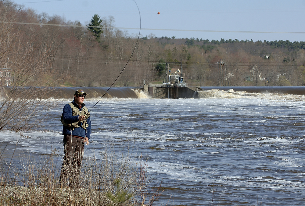 Salmon fishing resumes along the Penobscot River on opening day, May 1, 2008. The first catch of the season was traditionally sent to the U.S. president.