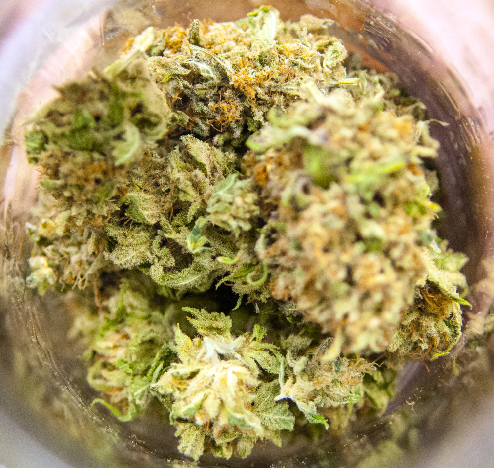 One of the varieties of medical marijuana for sale on July 7 at the new Summit Medical Marijuana storefront on Water Street in Gardiner. City officials are working on regulations for the sale of recreational marijuana.