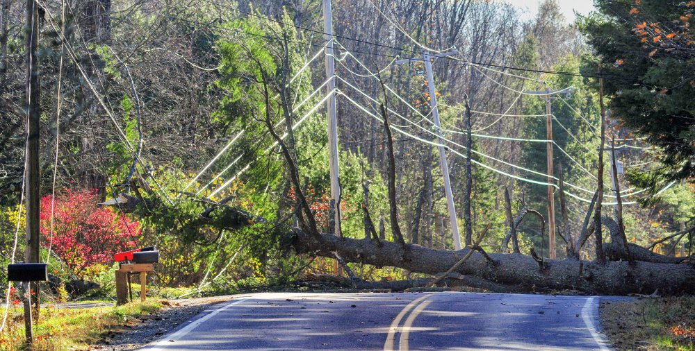 A fallen tree hung up in wires blocks Route 41 in Readfield on Friday. The Readfield Fire Department had the road closed from Route 17 to Nottingham Way as they waited for Central Maine Power to get there.