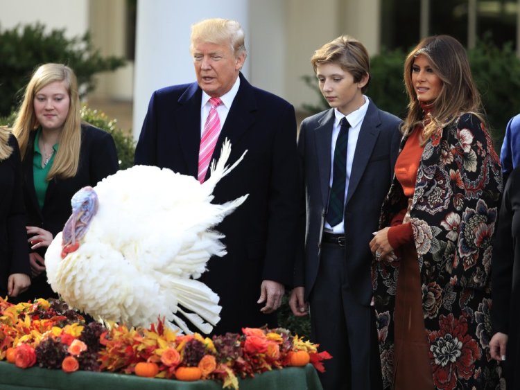 President Trump with first lady Melania Trump, right, and their son Barron Trump, look at Drumstick, the national Thanksgiving turkey, after the bird was pardoned by Trump during a ceremony in the Rose Garden of the White House in Washington.