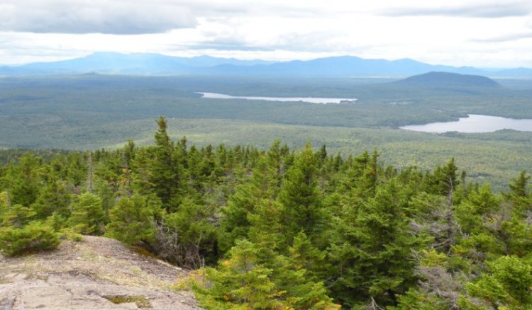 The view from Mount Chase, near land purchased by Wolfden Resources Corp. Explorations in the 1970s revealed zinc, lead, copper and silver in what was dubbed the "Mount Chase deposit," but no mining was attempted.