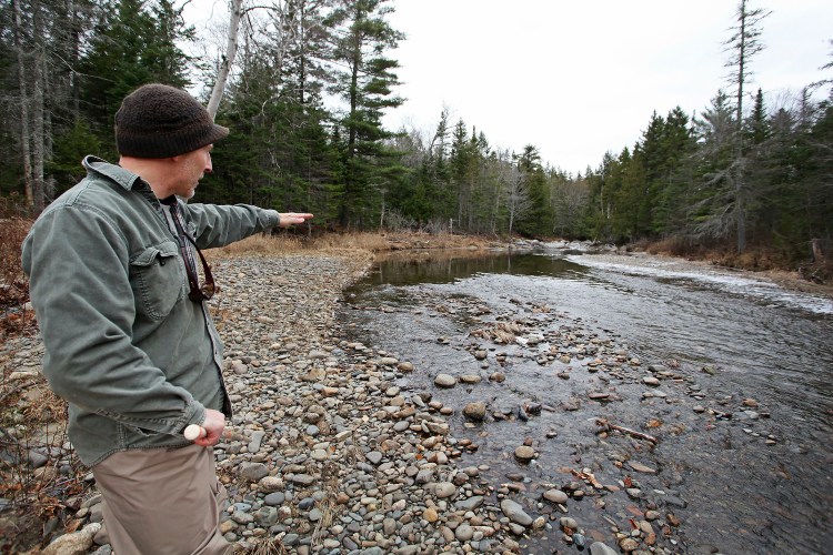 Jake Overlock, a biologist with the Maine Department of Marine Resources, describes an area of Orbeton Stream, where salmon redds have been located.