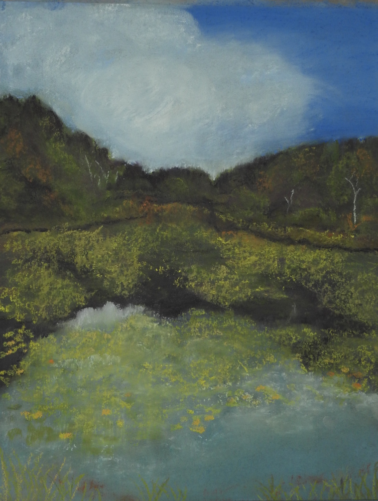 An exhibit of pastel drawing by Karin Sargent will be on view Nov. 2 through Jan. 2 at the Gibbs Library at 40 Old Union Road in Washington Village.