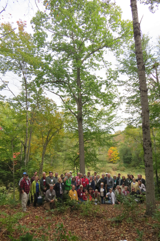 Eighty members of the American Chestnut Foundation stand in front of the tree located on Factory Square in Readfield. Members came from 19 states in the eastern U.S. in October to see American chestnut trees growing in Readfield, Vienna and East Winthrop.