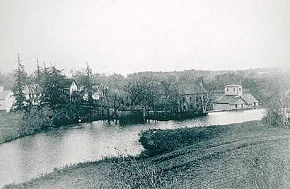 This photo, taken 125-150 years ago, depicts the area where the American chestnut and a heavy growth of other tree species exist today. In the distance is the grist mill and saw mill that once operated on Factory Square.
