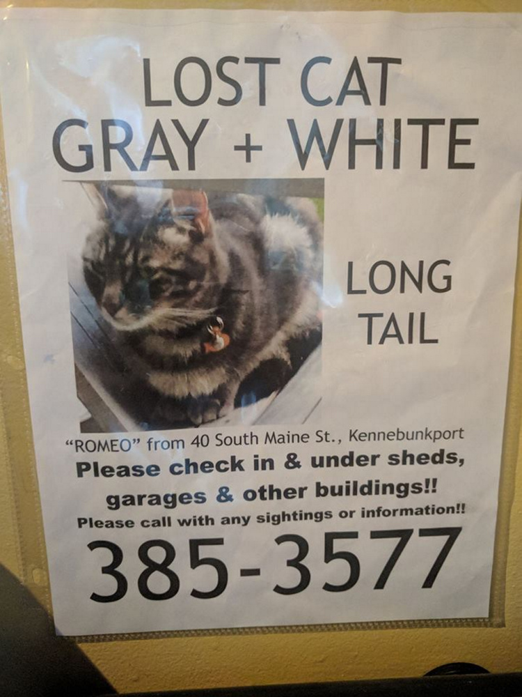 A poster in the Kennebunkport area was distributed when Romeo disappeared in 2016.