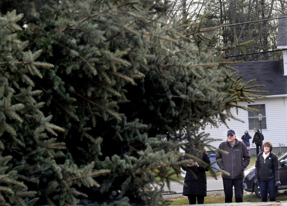 Joe Lemieux and his niece Bernadette LaCroix watch as the spruce tree he donated to the city of Waterville for Christmas is loaded on to a trailer Monday after it was cut down at his home in Fairfield.