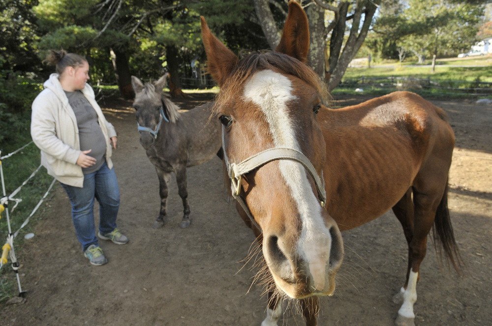 Kelsey Radley with Pocket the mule, center, and Zin the horse on Oct. 13 in Pittston.