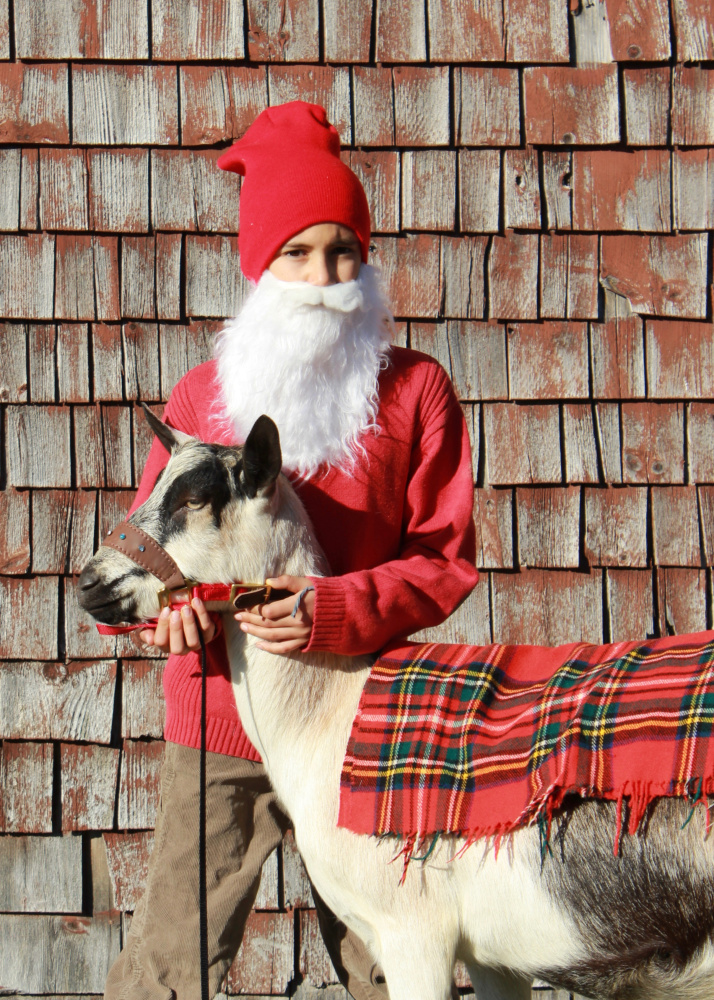 The Yule Goat and Tomten will visit with children between 11 a.m. and 2 p.m. with a special story time at noon and 1 p.m. Dec. 3 and 17 at Pumpkin Vine Farm in Somerville.