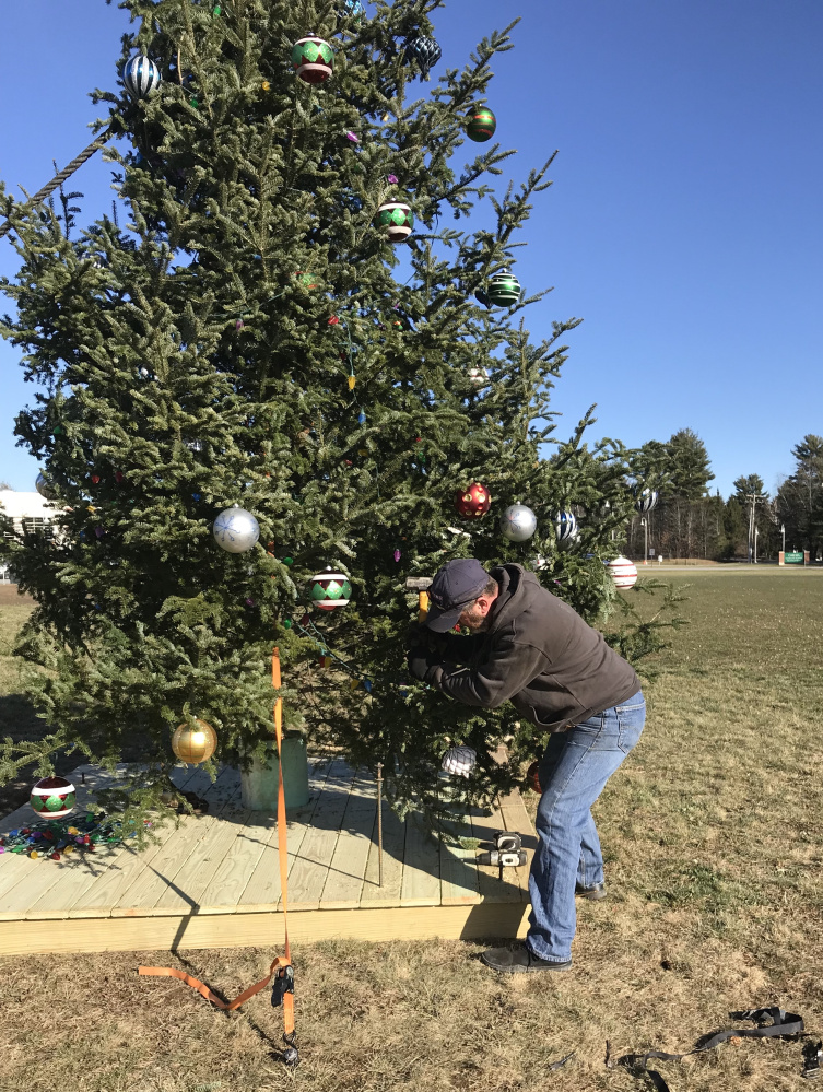 Chelsea Selectman Matt Pushard works to straighten the town's Christmas tree  Thursday in advance of Saturday's holiday festivities.
