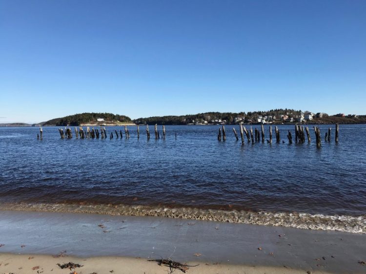 A plan to remove these pilings in Popham will go before the Maine Board of Environmental Protection Dec. 7. 