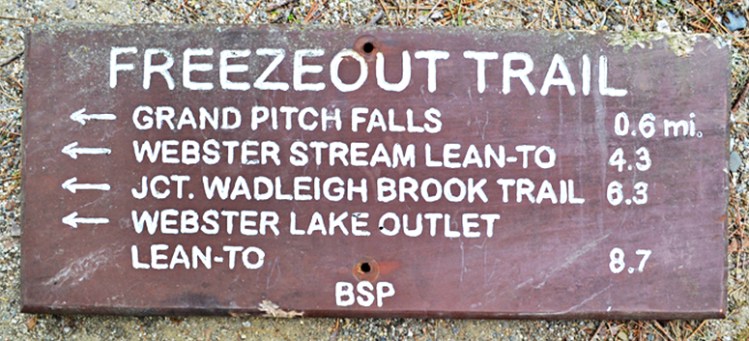 The auction website points out that this trail sign, measuring 27 by 11 inches, has "slight animal damage to lower and upper edges."
