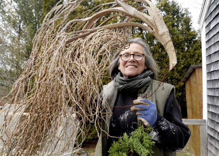 Diane Walden, a Coastal Maine Botanical Gardens horticulturist, uses blown-down branches and found objects as much as possible for wreaths.