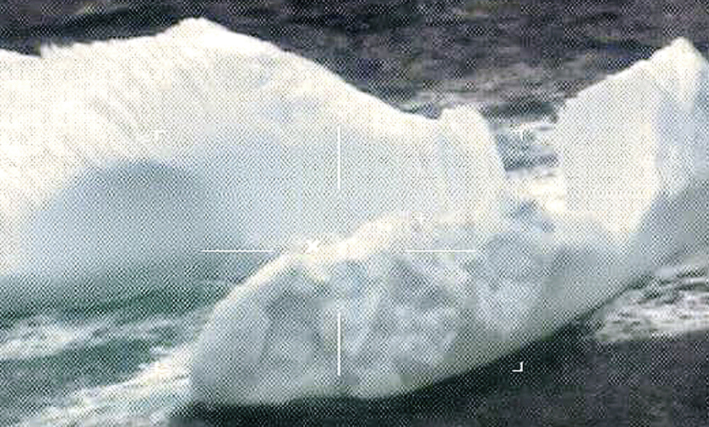 The Coast Guard reported 1,008 icebergs in 2017, like these near the Grand Banks of Newfoundland, up from 687 in 2016.