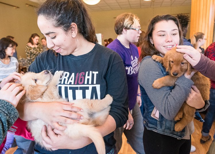 Jasmine Athamni and Emily Murphy enjoy a pair of puppies at the University of Maine at Farmington puppy party on Wednesday afternoon. 