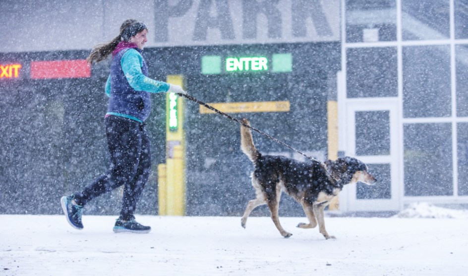 Erin Abraham runs with her dog, Kaylee, on Fore Street in Portland in near-whiteout conditions during the snowstorm on Thursday.
