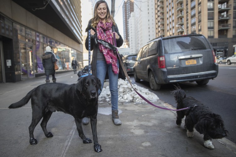 Tanya Lim, owner of Play Pals NYC, walks Cannon, left, and Gigi, on New York's Upper West Side on Tuesday. When the temperature plunged after Christmas, so did revenue at Play Pals NYC. Many of Lim's clients cancelled because they decided to work from home.