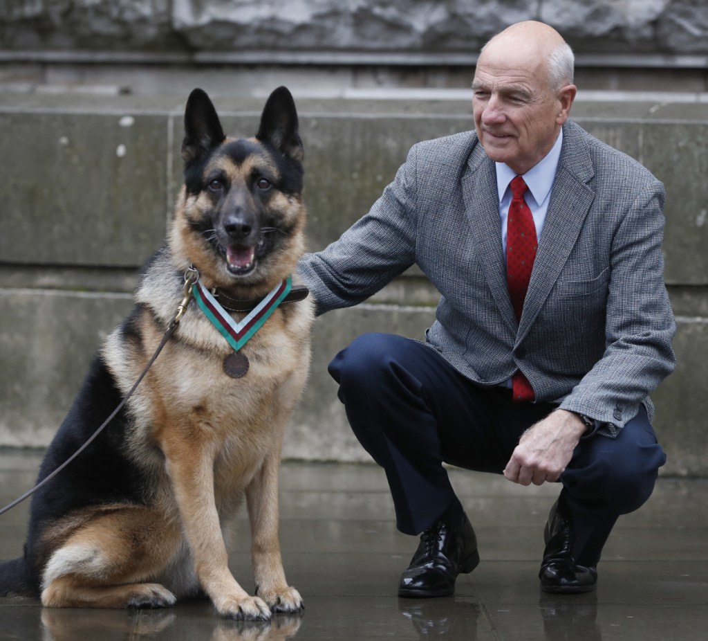 John Wren from Long Island, New York, is shown with military working dog Ayron, who received the PDSA Dickin Medal, the animal equivalent of the Victoria Cross, on behalf of the Wren family dog Chips in London on Monday.