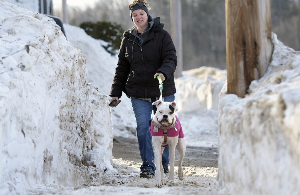 Professional dog walker Jessica Greenleaf accompanies Stella on Wednesday on her daily constitutional through the snow berms of Gardiner.