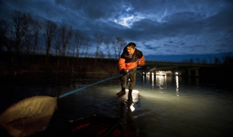 John Moore of Freeport fishes for elvers in 2012.