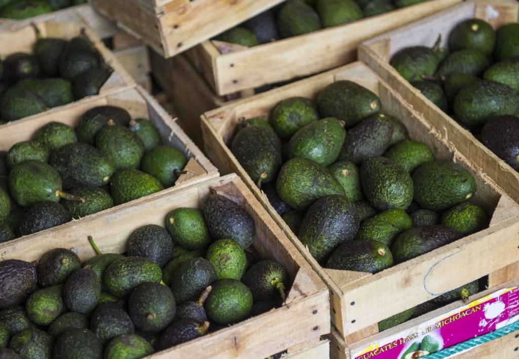 High avocado prices have fueled deforestation in Michoacan, where farmers cut down pines to clear the way for more avocado trees.