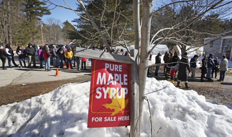 A large crowd lines up to visit Cooper's Maple Products in Windham on Maine Maple Sunday in late March 2017. Maine syrup production was average to slightly below average for the 2017 season.
