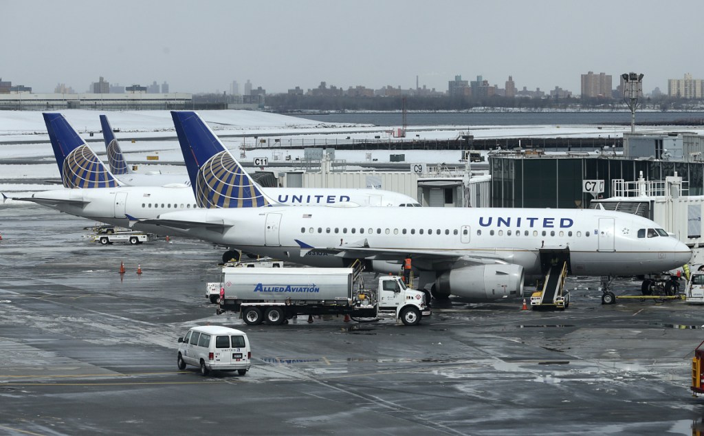 A dog died on a United Airlines plane Monday night after a flight attendant ordered its owner to put the animal in the plane's overhead bin. United said Tuesday that it took full responsibility for the incident