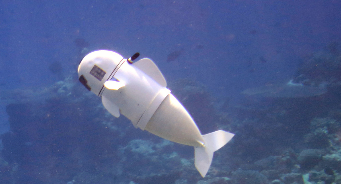 MIT researchers create robotic fish that blends in with the school