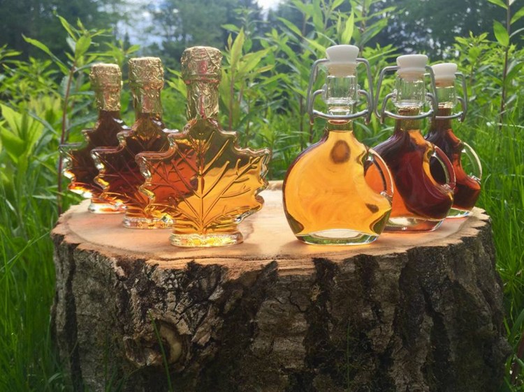 Six employees, all members of the Passamaquoddy tribe, have been hired to run its maple syrup operation, plus six tribal tappers who work seasonally. The syrups are golden, amber, dark or very dark. They are marketed in traditional bottles with maple leaves, moose and other designs in relief.