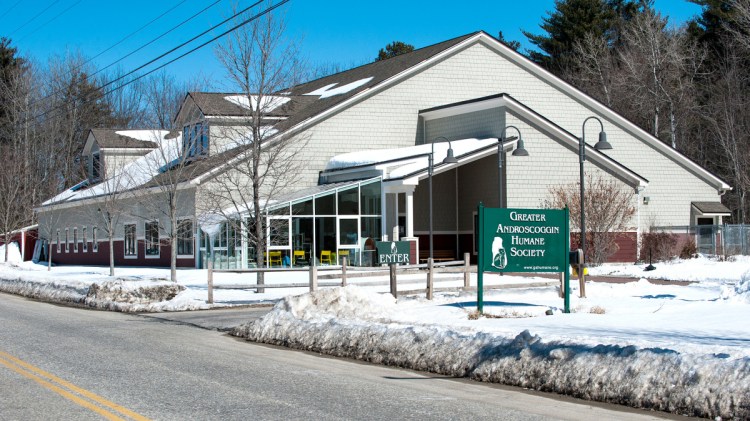 Once the snow melts, the Greater Androscoggin Humane in Lewiston wants to create four fenced-in visiting areas near the building to supplement its indoor visiting room.