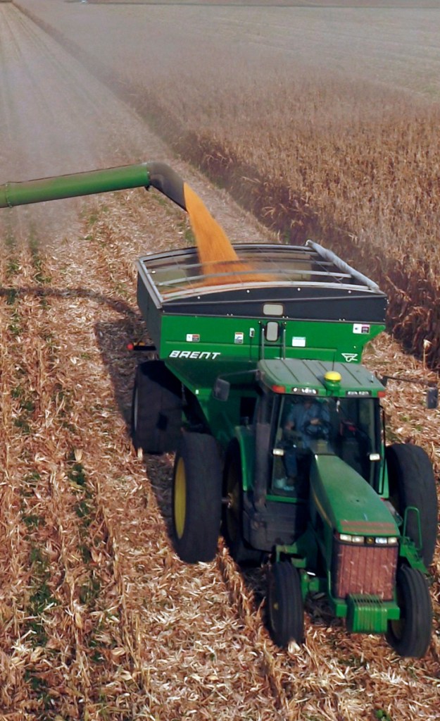 Farmers are thinking it will be more profitable to plant soybeans than corn, being harvested above, in the next year.