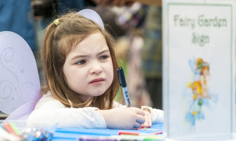 Evelyn Robitaille, 5, of Greene, looks up on Saturday to check the spelling of "Fairy Garden" on the sign she's making out of popsicle sticks during the Annual Fairy Festival at Longfellow's Greenhouses in Manchester.