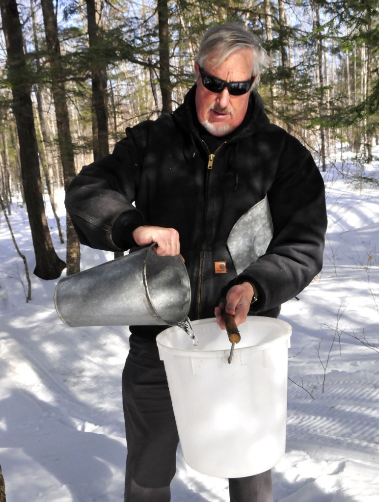 Iver Lofving collects sap from maple trees in 2017 behind the Chez Lonndorf sap house on Burrill Hill Road in Skowhegan in preparation for Maine Maple Sunday.