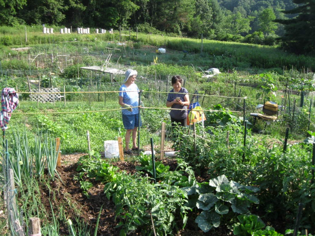 Alice Bonnegat, left, and Stacy Fields in the community gardens at Vile Arboretum last year.