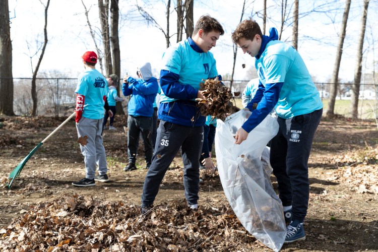 Joe MacDonald, left, of Westford, Mass., fights to put leaves into a bag held by Jake Rasch, of Cumberland. Both are freshmen hockey players at Colby College and were participating Saturday in Colby Cares Day at the Waterville Historical Society's Redington Museum.
