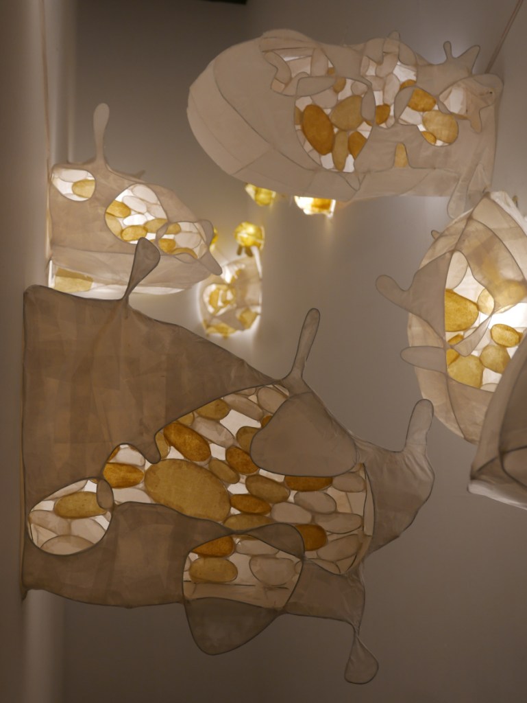 Thu Kim Vu, Light Sculptures