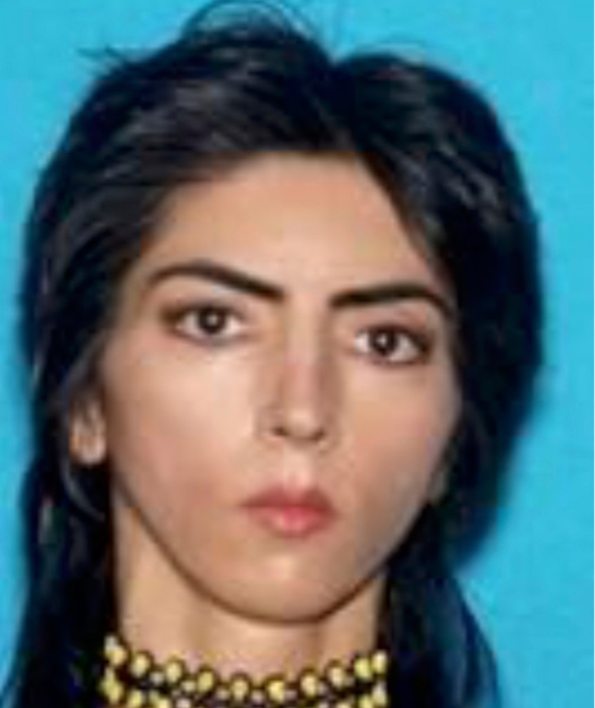 This undated photo provided by the San Bruno Police Department shows Nasim Aghdam.