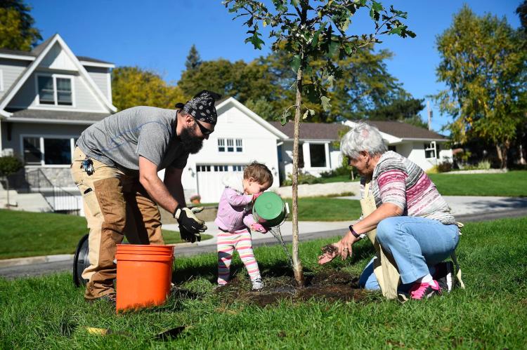 This year, National Arbor Day will be celebrated on Friday, April 27. 