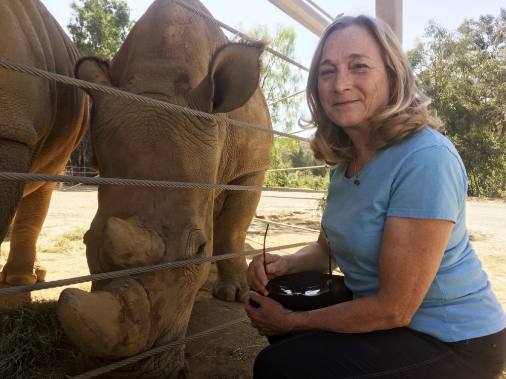 Barbara Durrant, director of reproductive sciences at the San Diego Zoo Institute for Conservation Research, poses next to Victoria, a pregnant southern white rhino, Thursday at the San Diego Zoo Safari Park in Escondido, Calif.
Associated Press/Julie Watson