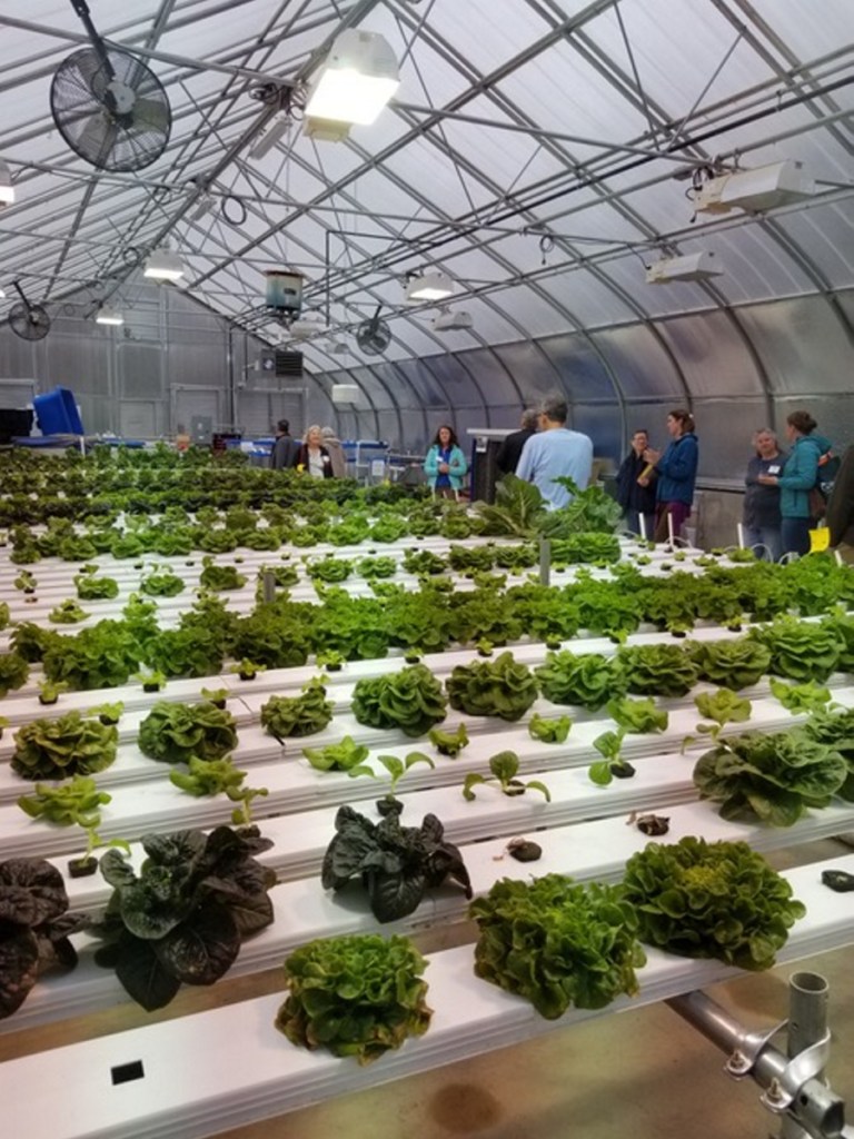 MeANS currently operates two greenhouses on the Good-Will Hinckley campus — one focused on aquaponics year round, and one a seasonal in-ground greenhouse.