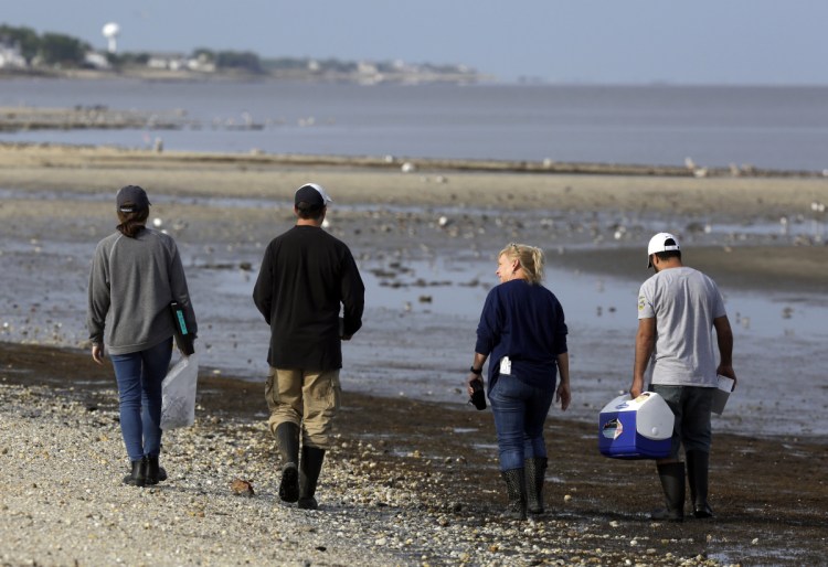 Left to right, Karlie Woodard, Patrick Seiler, and Pamela McKenzie and Rabeh El Shesheny of St. Jude Children's Research Hospital  collect samples in May at Kimbles Beach in New Jersey. 