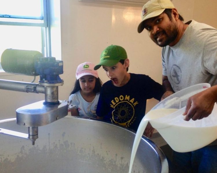 From left, are Sarita Roopchand, Keiran Roopchand and Anil Roopchand, who is pouring the milk. They are the farmers and cheesemakers at Pumpkin Vine Family Farm.