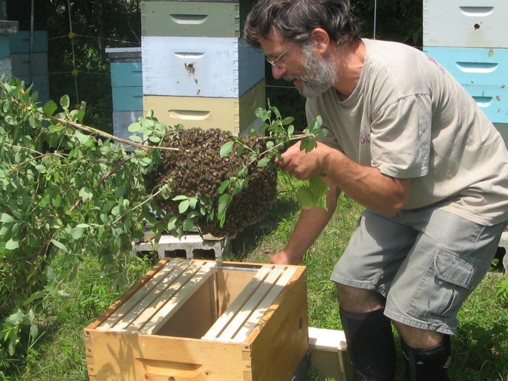 Beekeeper Ross Conrad tends to a beehive.
