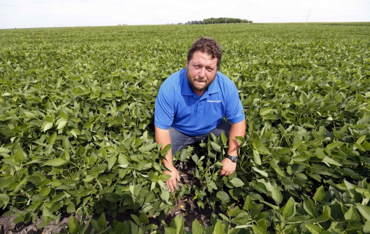  In this July 18, 2018 photo, soybean farmer Michael Petefish poses in his soybean field at his farm near Claremont in southern Minnesota. American farmers have put the brakes on unnecessary spending as the U.S.-China trade war escalates, hoping the two countries work out their differences before the full impact of China's retaliatory tariffs hits American soybean and pork producers. AP Photo/Jim Mone