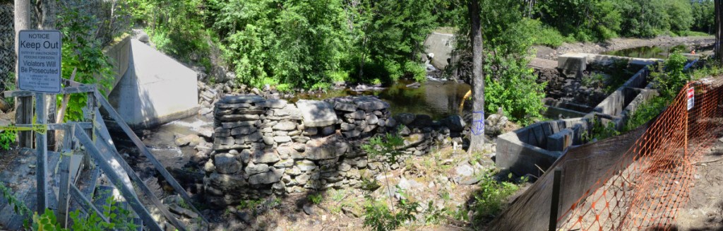 Once the Coopers Mills dam has been dismantled, likely by this fall, sea-run fish such as salmon and alewives will have access to more of the Sheepscot River.