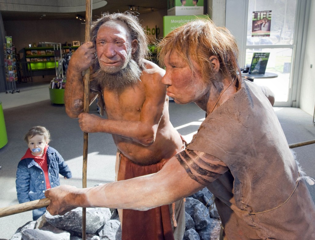 The prehistoric Neanderthal man "N," left, is visited for the first time by another reconstruction of a homo neanderthalensis called "Wilma," right, at the Neanderthal museum in Mettmann, Germany, in 2009.