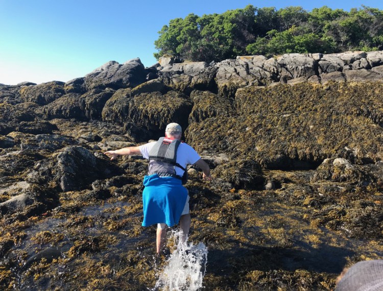 Chuck Radis splashes onto seaweed-covered ledges at low tide on College Island, on the tip of Long Island in Casco Bay. Visiting remote islands on the Maine Island Trail in a small boat often means scrambling up slippery rocks. 