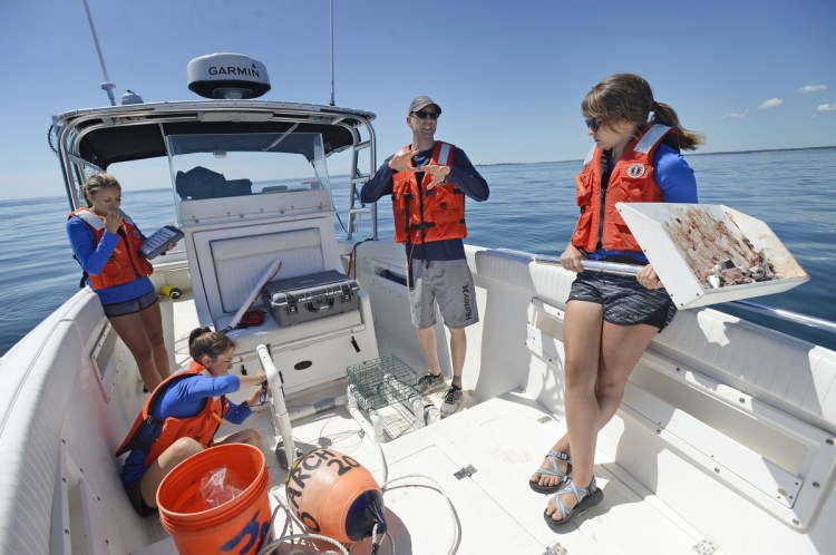 Professor James Sulikowski talks with UNE undergraduate students working as research assistants in July, as they prepare to deploy baited underwater cameras for a great white shark study. They chose a spot where a radio receiver detected a tagged great white last fall.