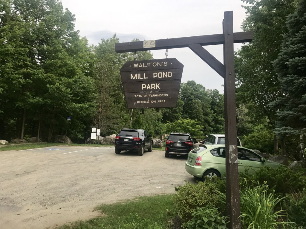 A $1.2 million project that won Farmington selectmen's approval Tuesday night would include removal of the Walton's Mill Dam and upgrading a surrounding public park, seen Tuesday. Now the plan is expected to be submitted to town voters in a referendum, probably in November.